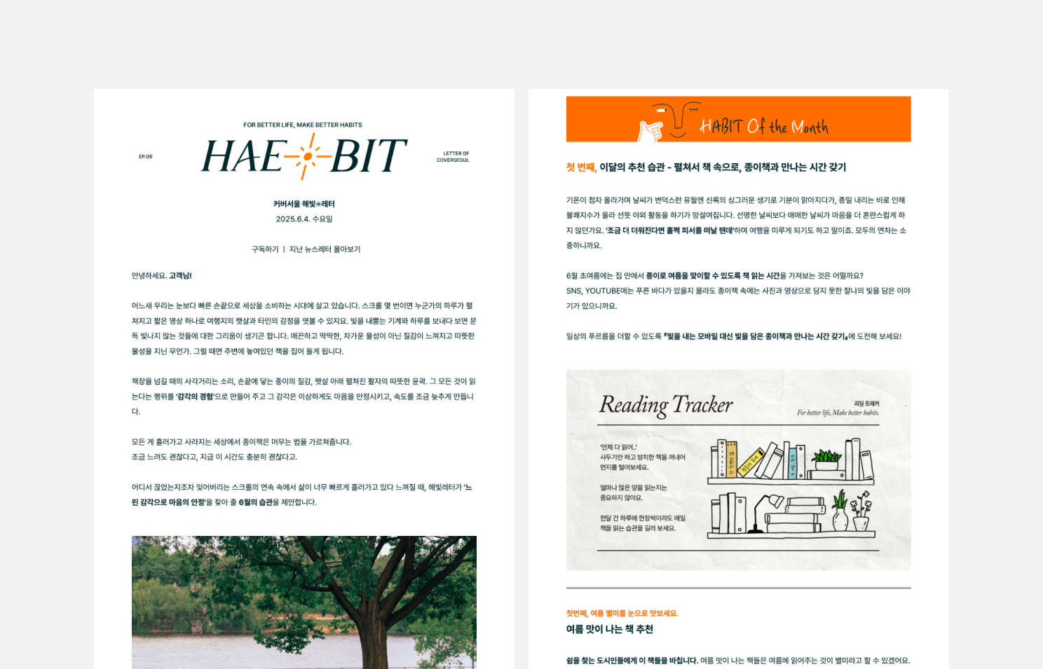 커버서울 뉴스레터 해빛레터 HAEBIT LETTER